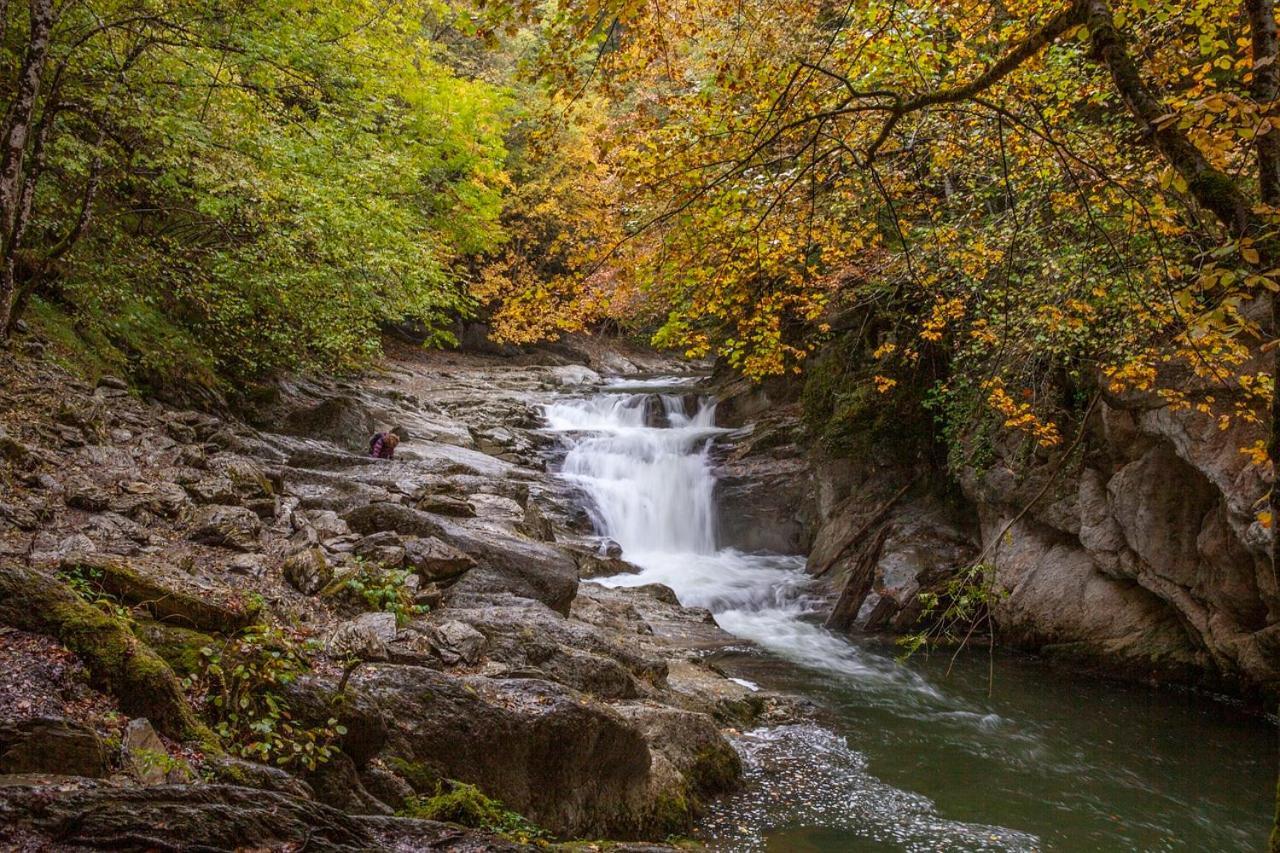 La Petite Maison Coazze Dış mekan fotoğraf